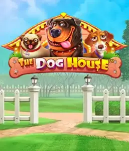 Pragmatic Play's The Dog House Slot, featuring a fun-filled experience through lovable dogs. Engage in features such as sticky wilds, perfect for providing entertaining gameplay. A must-try for those who enjoy a cheerful atmosphere with a chance for big wins.