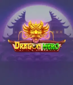 Enter a fantastic quest with Dragon Hero Slot by Pragmatic Play, highlighting breathtaking visuals of mighty dragons and epic encounters. Discover a world where legend meets thrill, with featuring enchanted weapons, mystical creatures, and treasures for a captivating adventure.